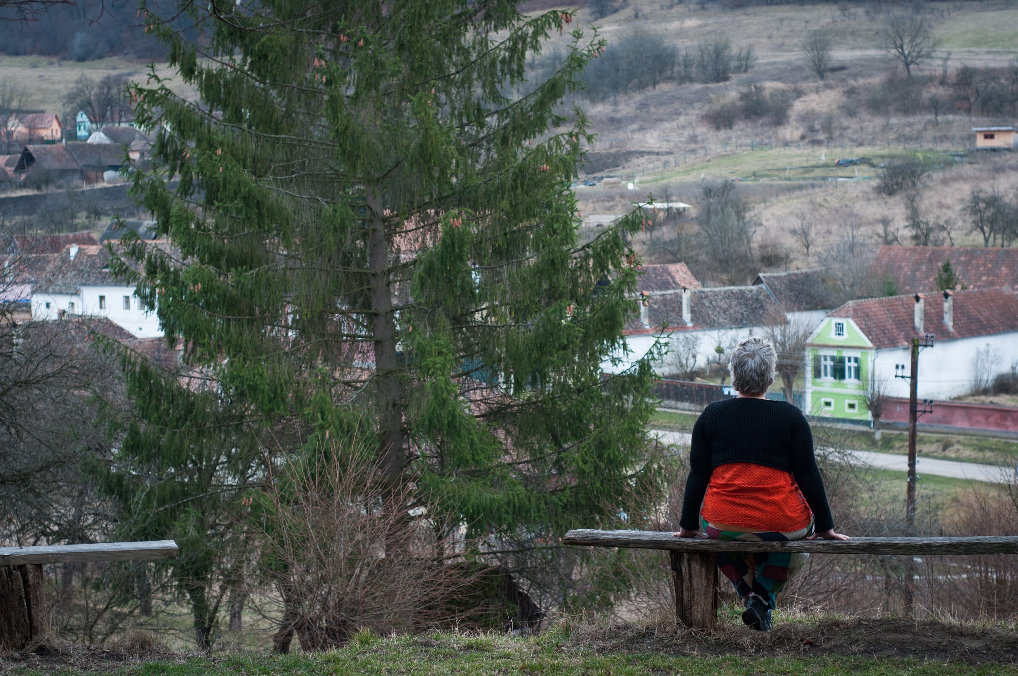 Alma Vii, Sibiu