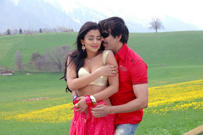 Shreya Saran Hot Photos in Movie Don Seenu 03a