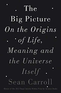 The Big Picture: On the Origins of Life, Meaning, and the Universe Itself (English Edition)