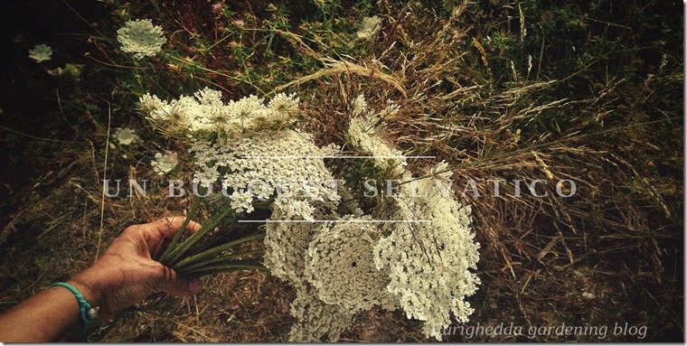 UN BOUQUET SELVATICO (4)