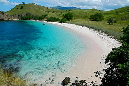 Pulau Komodo NTT : Indah dan Uniknya Pink Beach