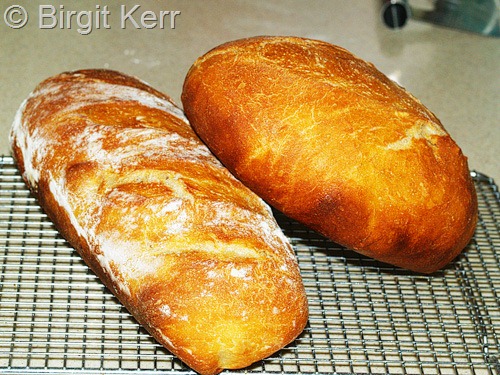 bread[1]