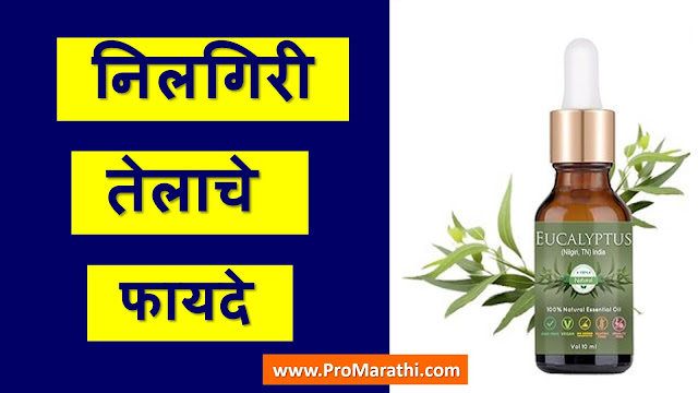 Nilgiri Oil Uses in Marathi