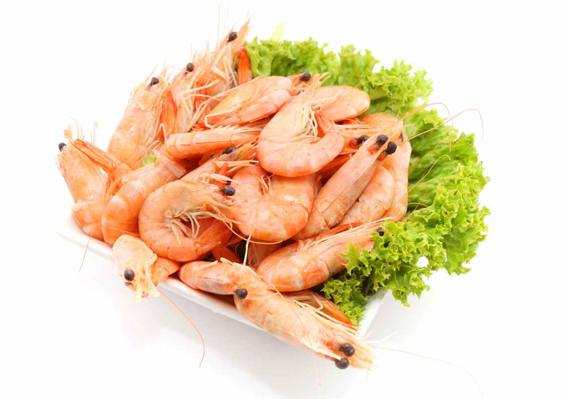 Low Carb Essentials - Seafood, shrimps