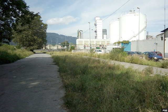 Maleza en la carretera interfábricas de Lutxana