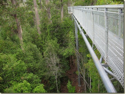 Tahune Air Walk, Tasmania (photo by Heather)