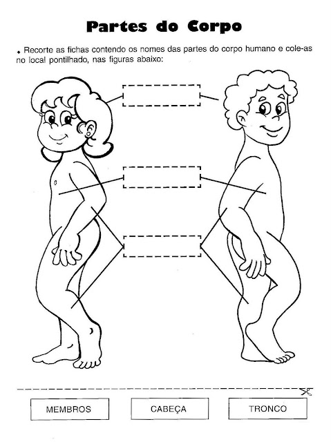 Atividades de ciências 1 ano fundamental corpo humano