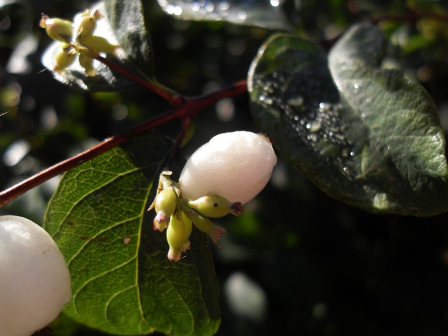 Oktober 2012