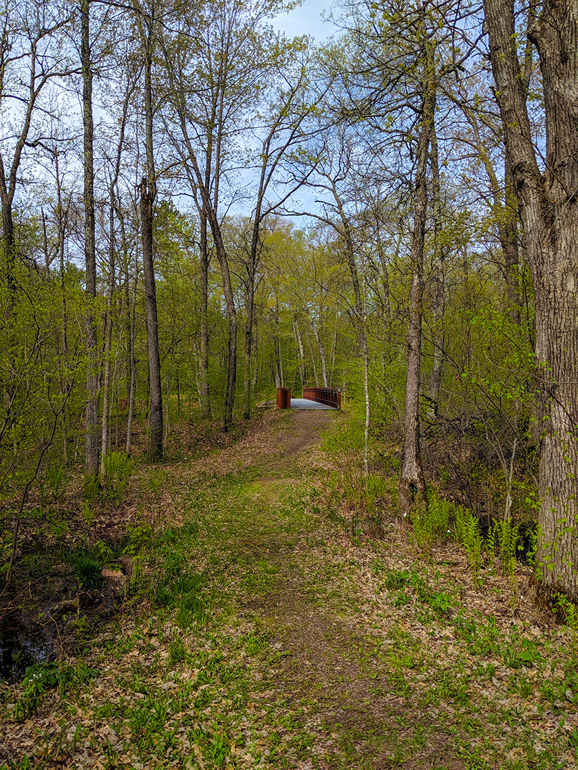 Raspberry Route Trail at Governor Knowles State Forest