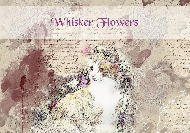 Whisker Flowers whiskerflowers.wordpress.com