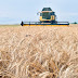    Ρωσία-Ουκρανία συμφώνησαν για την εξαγωγή σιτηρών