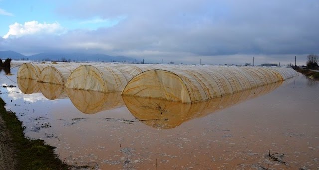 Nach den Fluten - Erneuerung des Strumica Fluss Basin