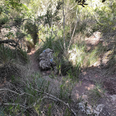 Tramo de sendero de acceso a Sa Fita (Muntanya Mala)