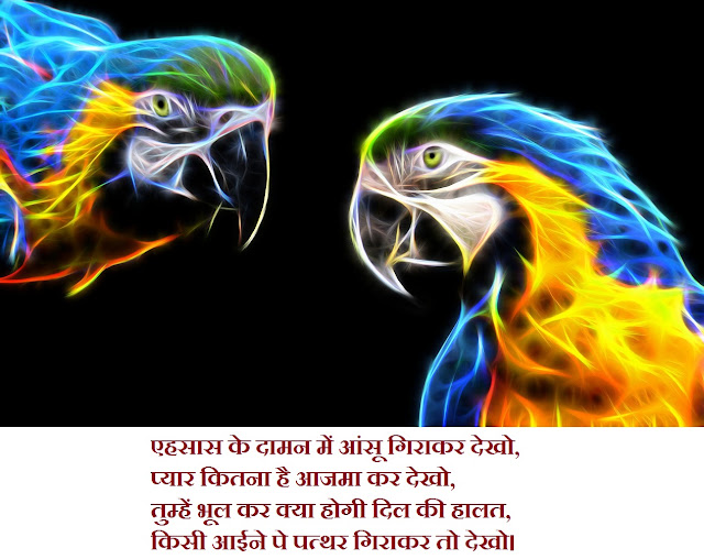 latest Dard shayari in hindi with an image 