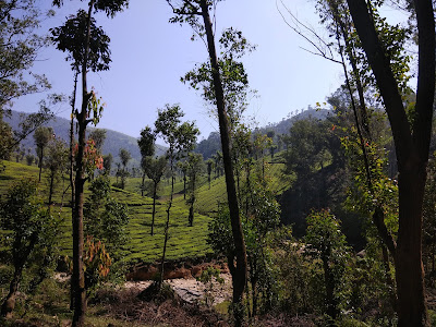 Akkamalai grass hills view