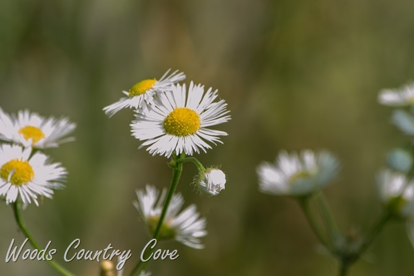 AUGUST 2015 (17 of 25)