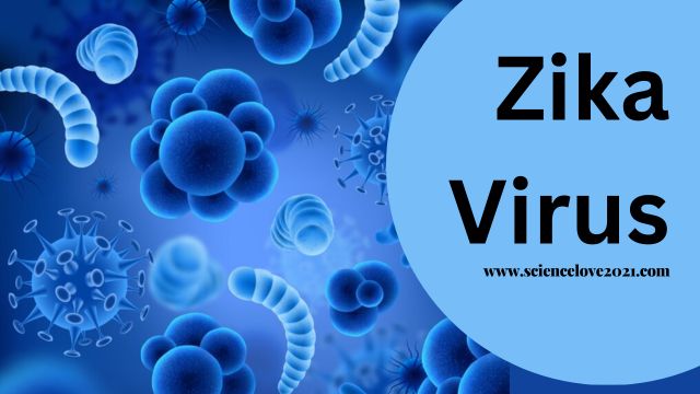 भारत में जीका वायरस (Zika virus) की स्थिति | Zika Virus