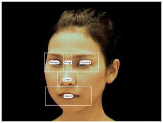 Examples of the area of interest (AOI); front eye, back eye, bridge, centre and mouth. (Credit: Senju et al.,/PLoS ONE)