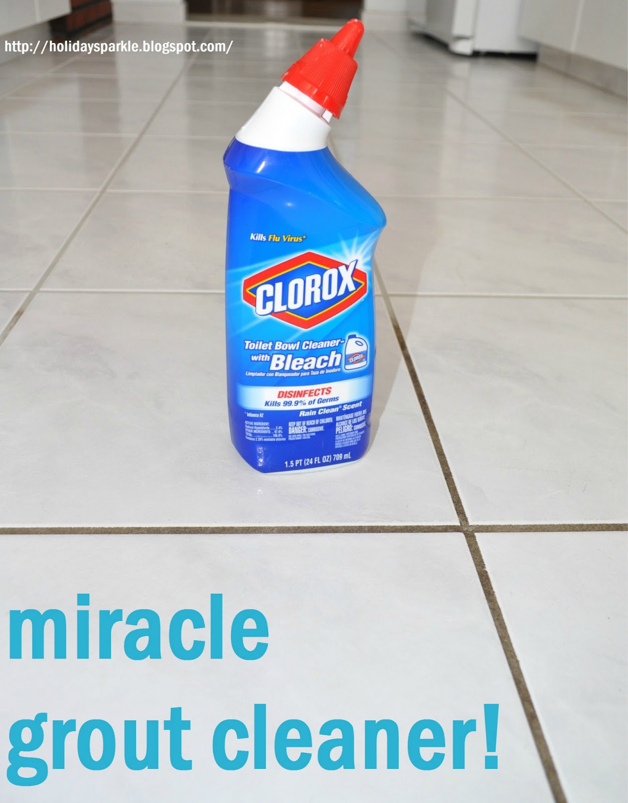 Holiday Sparkle Finally Clean Your Grout