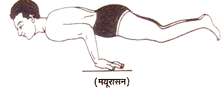 मयूरासन (MAYURASANA) करने का विधि और लाभ