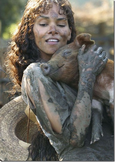PORCINAS27_abr_imagens_animais_05