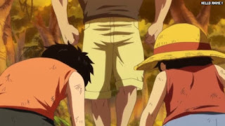 ワンピースアニメ 504話 幼少期 エース ルフィ かわいい ACE LUFFY | ONE PIECE Episode 504 ASL