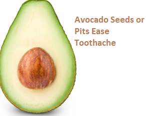 Avocado Seeds or Pits Ease Toothache