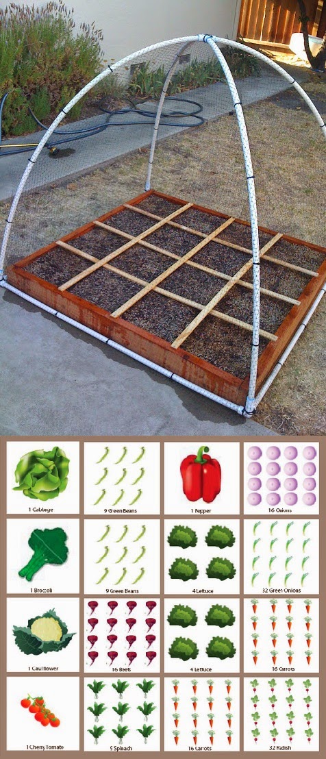Square Foot Gardening Plan #Gardening - My Favorite Things
