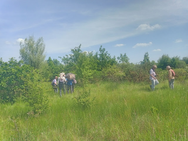 Naturalists on an outing, Indre et Loire, France. Photo by Loire Valley Time Travel.