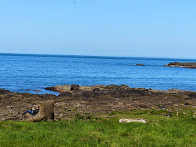 La Chaussée des Géants Irlande du Nord