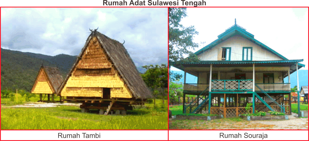 Rumah Adat Sulawesi Tengah Lengkap Gambar dan  