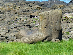 La Chaussée des Géants Irlande du Nord