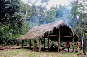 imagen de una choza en medio de la selva peruana