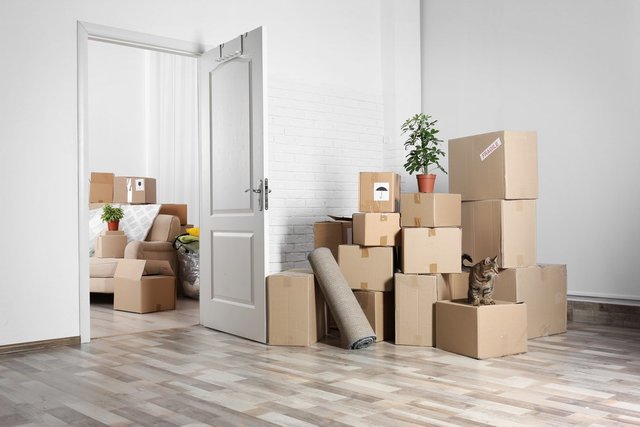 Movers in Morisset