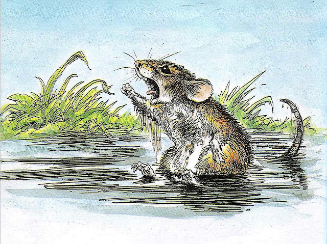 a Wallace Tripp illustration od an angry mouse in a puddle