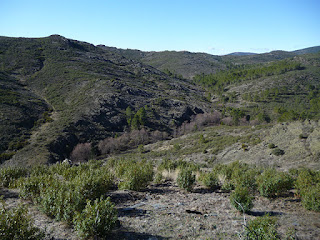 Descenso hacia el arroyo de la Concha