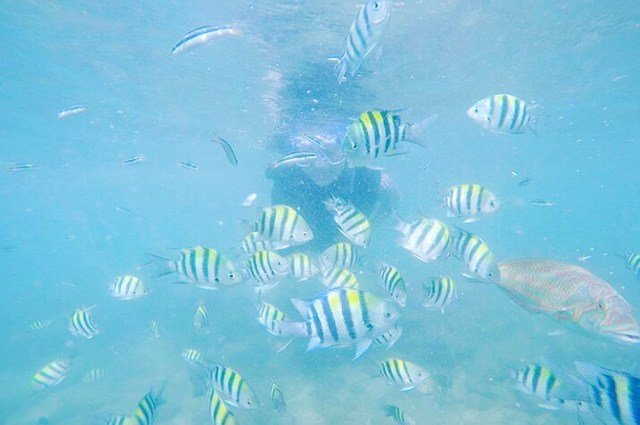 snorkeling di pantai