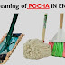 Pocha: Meaning in English and synonyms
