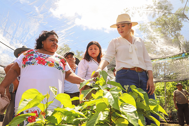 Las mujeres son transformadoras del campo yucateco