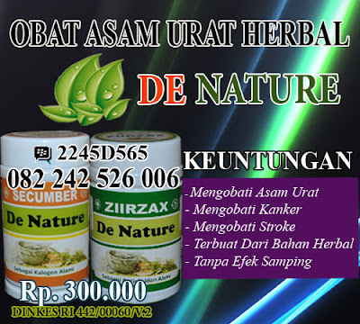 obat asam urat buah