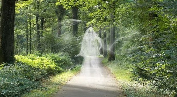 hantu ditangkap di kalimantan, hantu hantu kalimantan, hantu hantu kalimantan selatan, hantu has kalimantan, hantu hutan kalimantan, hantu hutan kalimantan tengah, hantu hutan kalimantan timur, hantu kalimantan, hantu kalimantan barat, hantu kalimantan ditangkap, hantu kalimantan kepala, hantu kalimantan kumokodong, hantu kalimantan kuyang, hantu kalimantan makan bayi, hantu kalimantan makan orok, hantu kalimantan paling menakutkan, hantu kalimantan pemakan bayi, hantu kalimantan penghisap darah, hantu kalimantan selatan, hantu kalimantan tengah, hantu kalimantan tertangkap, hantu kalimantan timur, hantu kalimantan utara, hantu kalimantan yang tertangkap, hantu kalimantan yg tertangkap, hantu kalimantan youtube, hantu kalimantan.com, hantu khas kalimantan, hantu khas kalimantan barat, hantu khas kalimantan selatan, hantu kuntilanak kalimantan, hantu kuyang kalimantan, hantu kuyang kalimantan selatan, hantu kuyang kalimantan tengah, hantu kuyang kalimantan timur, hantu laut kalimantan, hantu leak kalimantan, hantu macan kalimantan, hantu mariaban kalimantan, hantu nyata kalimantan, hantu orang kalimantan, hantu palasik kalimantan, hantu panjang kalimantan, hantu pedalaman kalimantan, hantu pemakan orok kalimantan, hantu penanggal kalimantan, hantu pujut kalimantan, hantu pulau kalimantan, hantu raksasa kalimantan, hantu sawit kalimantan, hantu selfie kalimantan, hantu seram kalimantan, hantu suluh kalimantan, hantu sungai kalimantan, hantu takau kalimantan, hantu terganas kalimantan, hantu terkenal kalimantan, hantu urang kalimantan, hantu usus kalimantan, heboh hantu kalimantan, kisah hantu kalimantan selatan, kisah nyata hantu kalimantan barat, kisah nyata hantu kalimantan timur, kuyang hantu kalimantan, legenda hantu kalimantan, legenda hantu kalimantan selatan, legenda hantu kalimantan timur, misteri hantu kalimantan, misteri hantu kalimantan barat, misteri hantu kalimantan selatan, misteri hantu kalimantan timur, mitos hantu kalimantan, nama hantu kalimantan, pasukan hantu kalimantan yang ditakuti belanda, penangkapan hantu di kalimantan, video hantu kalimantan, video hantu kalimantan barat, video hantu kalimantan selatan, video hantu kalimantan tengah, video hantu leak kalimantan, villa hantu kalimantan, www.hantu kalimantan, 