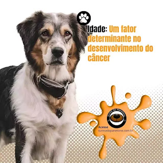 Idade  Um fator determinante no desenvolvimento do câncer