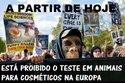 Ótimas notícias! A partir de hoje, 11 de março de 2013, fica proibida a venda de qualquer produto cosmético com componentes que tenham sido testados em animais. Agora precisamos que essa proibição se estenda a toda e qualquer experiência animal.  http://www.therecord.com/news/world/article/900655--eu-to-ban-animal-tested-ingredients-in-cosmetics  ** E N G L I S H Fantastic news! Tomorrow animal testing for cosmetics is banned in Europe. Now we want to halt all animal experiments.  >> EU to ban animal-tested ingredients in cosmetics  BRUSSELS — EU regulators are expected to announce Monday a ban on the import and sale of cosmetics containing ingredients tested on animals and to pledge more efforts to push other parts of the world, like China, to accept alternatives.  The European Union banned animal testing of finished cosmetic products in 2004.  A second ban, on animal-tested ingredients, went into effect four years ago. But heavy lobbying by major cosmetics manufacturers resulted in an extension of the deadline for some tests for effects like allergies and cancer and for which there is still no substitute.  The ban, which will take effect immediately, “gives an important signal on the value that Europe attaches to animal welfare,” Tonio Borg, the EU commissioner for health and consumer policy, said in the draft copy of a statement to be released Monday and seen by the International Herald Tribune.  The cosmetics company L’Oreal, which is based in France, said Friday that it would respect the ban and “no longer sell in Europe any finished product with an ingredient that was tested on animals” after Monday.  But other representatives of the European industry, worth about 70 billion euros, or $91 billion, annually, criticized the commission for putting the ban into effect before alternatives existed for some of the most complex tests.  “Europe’s idea is to put more pressure on other parts of the world to end animal testing, but the science doesn’t match that political timetable,” said Colin Mackay, a spokesperson for Cosmetics Europe, a trade association.  The most likely outcome would be “that consumers in Europe won’t have access to new products because we can’t ensure that some ingredients will be safe without access to suitable and adequate testing,” Mackay said.  The global divergence in safety rules could also mean that companies sell the same product globally, but market one version for countries like China backed up by safety evidence from animal tests, and another version for Europe backed up by evidence from alternative tests.  Consumers of products from deodorants to sunscreens are unlikely to notice the difference immediately because cosmetics containing ingredients that were tested on animals before the ban can remain on the shelves.  But the move could complicate trade relations with parts of the world like China that demand animal testing as a condition for marketing cosmetics.  Borg said in his draft statement that he would “engage with third countries to follow our European approach.”  Borg will promise to continue helping finance the development of alternatives, so that Europe sets “an example of responsible innovation in cosmetics without any compromise on consumer safety.”  Estee Lauder, a cosmetics manufacturer based in the United States, said it did not test products or ingredients on animals and it was increasing efforts to gain global acceptance for safety evaluations that did not rely on animal tests.  New York Times News Service