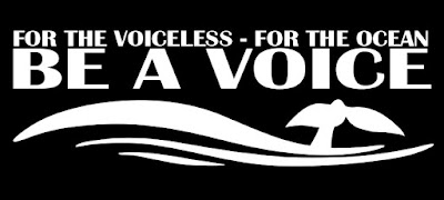 https://www.facebook.com/Be.A.Voice.For/