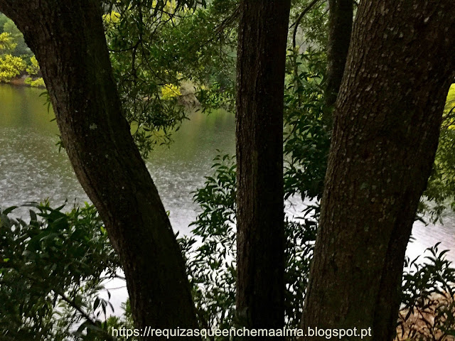 LAGOA AZUL SINTRA