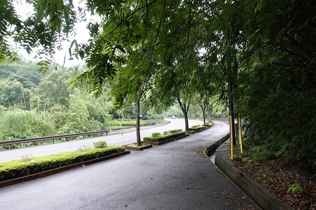 橋を渡りここから遊歩道をとっとり花回廊へ向かいます