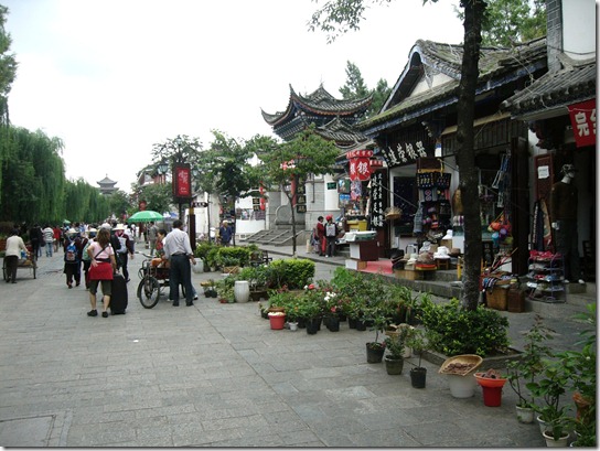 P1080029