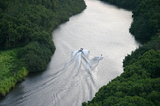 people waterskiing: