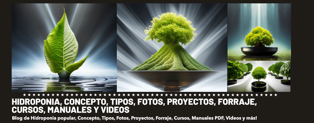 Hidroponia, Concepto, Tipos,  Fotos, Proyectos, Forraje, Cursos, Manuales y Videos