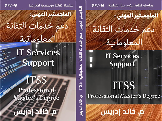 الماجستير المهني ITSS